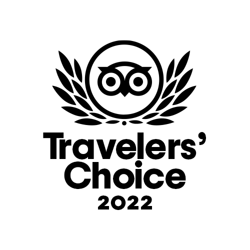 tripadvisor traveller's choice award