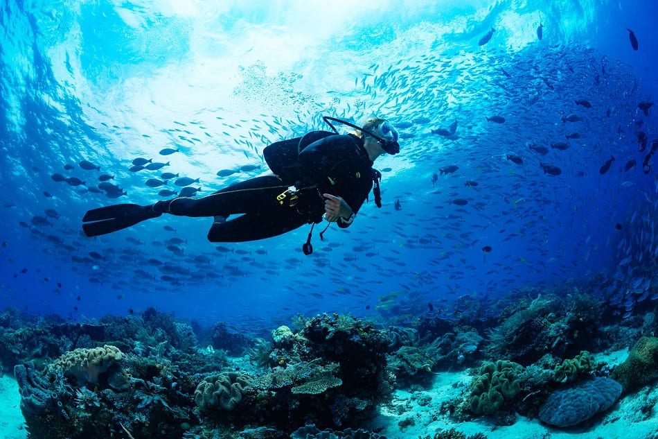 Deep-sea adventures, Diving, Akamas