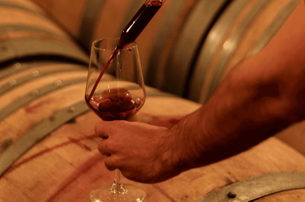 wine, wine in Cyprus, wineries, wine tasting in Cyprus, red wine